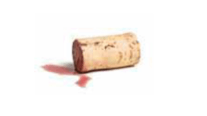 probka-vino-gruzie probka vino gruzie vínařství,khareba zGruzie.cz