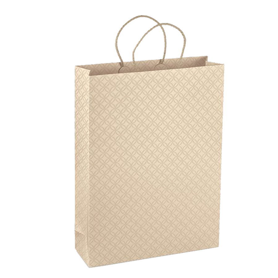 Luxusní papírová taška na víno. Elegant gift bag.